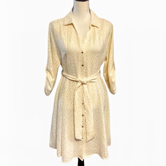Emily Daniels Dresses & Skirts - Emily Daniel's Gorgeous Button-up Long Sleeve Midi Dress in Cream/Gold in Large